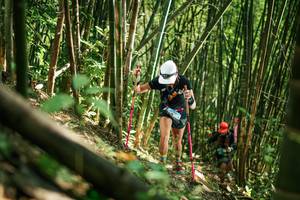 BIB: 
                            <button type="button" onclick="openModal(27923615)" class="btn btn-primary btn-sm float-right btn-popup" data-toggle="modal" data-target=".modal-high-quality">
                        <i class="fas fa-shopping-cart"></i> Add to Cart
                    </button>
                                            <button type="button" onclick="isThisMe(27923615, true)" class="btn btn-success btn-sm float-right btn-popup btn-isme hidden" data-toggle="tooltip" data-placement="bottom" title="นี่คือรูปของคุณใช่ไหม คลิกที่นี่เพื่อเอาเข้าอัลบั้ม">
                        <i class="fas fa-plus"></i> Add to album
                    </button>
                    <button type="button" onclick="isThisMe(27923615, false)" class="btn btn-warning btn-sm float-right btn-popup btn-isnotme hidden">
                        <i class="fas fa-ban"></i> Remove from album
                    </button>