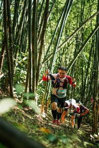 BIB: 
                            <button type="button" onclick="openModal(27924310)" class="btn btn-primary btn-sm float-right btn-popup" data-toggle="modal" data-target=".modal-high-quality">
                        <i class="fas fa-shopping-cart"></i> Add to Cart
                    </button>
                                            <button type="button" onclick="isThisMe(27924310, true)" class="btn btn-success btn-sm float-right btn-popup btn-isme hidden" data-toggle="tooltip" data-placement="bottom" title="นี่คือรูปของคุณใช่ไหม คลิกที่นี่เพื่อเอาเข้าอัลบั้ม">
                        <i class="fas fa-plus"></i> Add to album
                    </button>
                    <button type="button" onclick="isThisMe(27924310, false)" class="btn btn-warning btn-sm float-right btn-popup btn-isnotme hidden">
                        <i class="fas fa-ban"></i> Remove from album
                    </button>