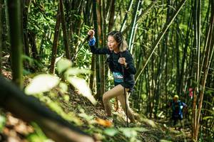 BIB: 
                            <button type="button" onclick="openModal(27924816)" class="btn btn-primary btn-sm float-right btn-popup" data-toggle="modal" data-target=".modal-high-quality">
                        <i class="fas fa-shopping-cart"></i> Add to Cart
                    </button>
                                            <button type="button" onclick="isThisMe(27924816, true)" class="btn btn-success btn-sm float-right btn-popup btn-isme hidden" data-toggle="tooltip" data-placement="bottom" title="นี่คือรูปของคุณใช่ไหม คลิกที่นี่เพื่อเอาเข้าอัลบั้ม">
                        <i class="fas fa-plus"></i> Add to album
                    </button>
                    <button type="button" onclick="isThisMe(27924816, false)" class="btn btn-warning btn-sm float-right btn-popup btn-isnotme hidden">
                        <i class="fas fa-ban"></i> Remove from album
                    </button>