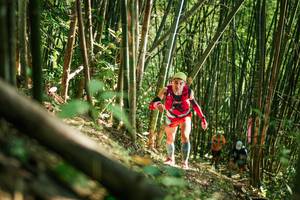 BIB: 
                            <button type="button" onclick="openModal(27923579)" class="btn btn-primary btn-sm float-right btn-popup" data-toggle="modal" data-target=".modal-high-quality">
                        <i class="fas fa-shopping-cart"></i> Add to Cart
                    </button>
                                            <button type="button" onclick="isThisMe(27923579, true)" class="btn btn-success btn-sm float-right btn-popup btn-isme hidden" data-toggle="tooltip" data-placement="bottom" title="นี่คือรูปของคุณใช่ไหม คลิกที่นี่เพื่อเอาเข้าอัลบั้ม">
                        <i class="fas fa-plus"></i> Add to album
                    </button>
                    <button type="button" onclick="isThisMe(27923579, false)" class="btn btn-warning btn-sm float-right btn-popup btn-isnotme hidden">
                        <i class="fas fa-ban"></i> Remove from album
                    </button>