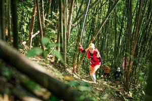 BIB: 
                            <button type="button" onclick="openModal(27923577)" class="btn btn-primary btn-sm float-right btn-popup" data-toggle="modal" data-target=".modal-high-quality">
                        <i class="fas fa-shopping-cart"></i> Add to Cart
                    </button>
                                            <button type="button" onclick="isThisMe(27923577, true)" class="btn btn-success btn-sm float-right btn-popup btn-isme hidden" data-toggle="tooltip" data-placement="bottom" title="นี่คือรูปของคุณใช่ไหม คลิกที่นี่เพื่อเอาเข้าอัลบั้ม">
                        <i class="fas fa-plus"></i> Add to album
                    </button>
                    <button type="button" onclick="isThisMe(27923577, false)" class="btn btn-warning btn-sm float-right btn-popup btn-isnotme hidden">
                        <i class="fas fa-ban"></i> Remove from album
                    </button>