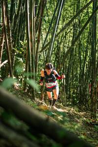 BIB: 
                            <button type="button" onclick="openModal(27923120)" class="btn btn-primary btn-sm float-right btn-popup" data-toggle="modal" data-target=".modal-high-quality">
                        <i class="fas fa-shopping-cart"></i> Add to Cart
                    </button>
                                            <button type="button" onclick="isThisMe(27923120, true)" class="btn btn-success btn-sm float-right btn-popup btn-isme hidden" data-toggle="tooltip" data-placement="bottom" title="นี่คือรูปของคุณใช่ไหม คลิกที่นี่เพื่อเอาเข้าอัลบั้ม">
                        <i class="fas fa-plus"></i> Add to album
                    </button>
                    <button type="button" onclick="isThisMe(27923120, false)" class="btn btn-warning btn-sm float-right btn-popup btn-isnotme hidden">
                        <i class="fas fa-ban"></i> Remove from album
                    </button>