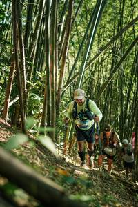 BIB: 
                            <button type="button" onclick="openModal(27923463)" class="btn btn-primary btn-sm float-right btn-popup" data-toggle="modal" data-target=".modal-high-quality">
                        <i class="fas fa-shopping-cart"></i> Add to Cart
                    </button>
                                            <button type="button" onclick="isThisMe(27923463, true)" class="btn btn-success btn-sm float-right btn-popup btn-isme hidden" data-toggle="tooltip" data-placement="bottom" title="นี่คือรูปของคุณใช่ไหม คลิกที่นี่เพื่อเอาเข้าอัลบั้ม">
                        <i class="fas fa-plus"></i> Add to album
                    </button>
                    <button type="button" onclick="isThisMe(27923463, false)" class="btn btn-warning btn-sm float-right btn-popup btn-isnotme hidden">
                        <i class="fas fa-ban"></i> Remove from album
                    </button>