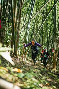 BIB: 
                            <button type="button" onclick="openModal(27924915)" class="btn btn-primary btn-sm float-right btn-popup" data-toggle="modal" data-target=".modal-high-quality">
                        <i class="fas fa-shopping-cart"></i> Add to Cart
                    </button>
                                            <button type="button" onclick="isThisMe(27924915, true)" class="btn btn-success btn-sm float-right btn-popup btn-isme hidden" data-toggle="tooltip" data-placement="bottom" title="นี่คือรูปของคุณใช่ไหม คลิกที่นี่เพื่อเอาเข้าอัลบั้ม">
                        <i class="fas fa-plus"></i> Add to album
                    </button>
                    <button type="button" onclick="isThisMe(27924915, false)" class="btn btn-warning btn-sm float-right btn-popup btn-isnotme hidden">
                        <i class="fas fa-ban"></i> Remove from album
                    </button>