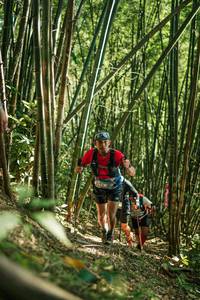 BIB: 
                            <button type="button" onclick="openModal(27923414)" class="btn btn-primary btn-sm float-right btn-popup" data-toggle="modal" data-target=".modal-high-quality">
                        <i class="fas fa-shopping-cart"></i> Add to Cart
                    </button>
                                            <button type="button" onclick="isThisMe(27923414, true)" class="btn btn-success btn-sm float-right btn-popup btn-isme hidden" data-toggle="tooltip" data-placement="bottom" title="นี่คือรูปของคุณใช่ไหม คลิกที่นี่เพื่อเอาเข้าอัลบั้ม">
                        <i class="fas fa-plus"></i> Add to album
                    </button>
                    <button type="button" onclick="isThisMe(27923414, false)" class="btn btn-warning btn-sm float-right btn-popup btn-isnotme hidden">
                        <i class="fas fa-ban"></i> Remove from album
                    </button>