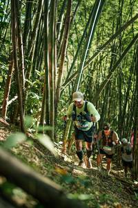 BIB: 
                            <button type="button" onclick="openModal(27923461)" class="btn btn-primary btn-sm float-right btn-popup" data-toggle="modal" data-target=".modal-high-quality">
                        <i class="fas fa-shopping-cart"></i> Add to Cart
                    </button>
                                            <button type="button" onclick="isThisMe(27923461, true)" class="btn btn-success btn-sm float-right btn-popup btn-isme hidden" data-toggle="tooltip" data-placement="bottom" title="นี่คือรูปของคุณใช่ไหม คลิกที่นี่เพื่อเอาเข้าอัลบั้ม">
                        <i class="fas fa-plus"></i> Add to album
                    </button>
                    <button type="button" onclick="isThisMe(27923461, false)" class="btn btn-warning btn-sm float-right btn-popup btn-isnotme hidden">
                        <i class="fas fa-ban"></i> Remove from album
                    </button>