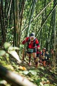 BIB: 
                            <button type="button" onclick="openModal(27925122)" class="btn btn-primary btn-sm float-right btn-popup" data-toggle="modal" data-target=".modal-high-quality">
                        <i class="fas fa-shopping-cart"></i> Add to Cart
                    </button>
                                            <button type="button" onclick="isThisMe(27925122, true)" class="btn btn-success btn-sm float-right btn-popup btn-isme hidden" data-toggle="tooltip" data-placement="bottom" title="นี่คือรูปของคุณใช่ไหม คลิกที่นี่เพื่อเอาเข้าอัลบั้ม">
                        <i class="fas fa-plus"></i> Add to album
                    </button>
                    <button type="button" onclick="isThisMe(27925122, false)" class="btn btn-warning btn-sm float-right btn-popup btn-isnotme hidden">
                        <i class="fas fa-ban"></i> Remove from album
                    </button>