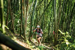 BIB: 
                            <button type="button" onclick="openModal(27926042)" class="btn btn-primary btn-sm float-right btn-popup" data-toggle="modal" data-target=".modal-high-quality">
                        <i class="fas fa-shopping-cart"></i> Add to Cart
                    </button>
                                            <button type="button" onclick="isThisMe(27926042, true)" class="btn btn-success btn-sm float-right btn-popup btn-isme hidden" data-toggle="tooltip" data-placement="bottom" title="นี่คือรูปของคุณใช่ไหม คลิกที่นี่เพื่อเอาเข้าอัลบั้ม">
                        <i class="fas fa-plus"></i> Add to album
                    </button>
                    <button type="button" onclick="isThisMe(27926042, false)" class="btn btn-warning btn-sm float-right btn-popup btn-isnotme hidden">
                        <i class="fas fa-ban"></i> Remove from album
                    </button>