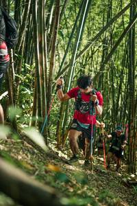 BIB: 
                            <button type="button" onclick="openModal(27923347)" class="btn btn-primary btn-sm float-right btn-popup" data-toggle="modal" data-target=".modal-high-quality">
                        <i class="fas fa-shopping-cart"></i> Add to Cart
                    </button>
                                            <button type="button" onclick="isThisMe(27923347, true)" class="btn btn-success btn-sm float-right btn-popup btn-isme hidden" data-toggle="tooltip" data-placement="bottom" title="นี่คือรูปของคุณใช่ไหม คลิกที่นี่เพื่อเอาเข้าอัลบั้ม">
                        <i class="fas fa-plus"></i> Add to album
                    </button>
                    <button type="button" onclick="isThisMe(27923347, false)" class="btn btn-warning btn-sm float-right btn-popup btn-isnotme hidden">
                        <i class="fas fa-ban"></i> Remove from album
                    </button>