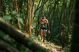 BIB: 
                            <button type="button" onclick="openModal(27921669)" class="btn btn-primary btn-sm float-right btn-popup" data-toggle="modal" data-target=".modal-high-quality">
                        <i class="fas fa-shopping-cart"></i> Add to Cart
                    </button>
                                            <button type="button" onclick="isThisMe(27921669, true)" class="btn btn-success btn-sm float-right btn-popup btn-isme hidden" data-toggle="tooltip" data-placement="bottom" title="นี่คือรูปของคุณใช่ไหม คลิกที่นี่เพื่อเอาเข้าอัลบั้ม">
                        <i class="fas fa-plus"></i> Add to album
                    </button>
                    <button type="button" onclick="isThisMe(27921669, false)" class="btn btn-warning btn-sm float-right btn-popup btn-isnotme hidden">
                        <i class="fas fa-ban"></i> Remove from album
                    </button>