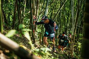 BIB: 
                            <button type="button" onclick="openModal(27925415)" class="btn btn-primary btn-sm float-right btn-popup" data-toggle="modal" data-target=".modal-high-quality">
                        <i class="fas fa-shopping-cart"></i> Add to Cart
                    </button>
                                            <button type="button" onclick="isThisMe(27925415, true)" class="btn btn-success btn-sm float-right btn-popup btn-isme hidden" data-toggle="tooltip" data-placement="bottom" title="นี่คือรูปของคุณใช่ไหม คลิกที่นี่เพื่อเอาเข้าอัลบั้ม">
                        <i class="fas fa-plus"></i> Add to album
                    </button>
                    <button type="button" onclick="isThisMe(27925415, false)" class="btn btn-warning btn-sm float-right btn-popup btn-isnotme hidden">
                        <i class="fas fa-ban"></i> Remove from album
                    </button>