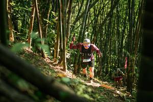 BIB: 
                            <button type="button" onclick="openModal(27922577)" class="btn btn-primary btn-sm float-right btn-popup" data-toggle="modal" data-target=".modal-high-quality">
                        <i class="fas fa-shopping-cart"></i> Add to Cart
                    </button>
                                            <button type="button" onclick="isThisMe(27922577, true)" class="btn btn-success btn-sm float-right btn-popup btn-isme hidden" data-toggle="tooltip" data-placement="bottom" title="นี่คือรูปของคุณใช่ไหม คลิกที่นี่เพื่อเอาเข้าอัลบั้ม">
                        <i class="fas fa-plus"></i> Add to album
                    </button>
                    <button type="button" onclick="isThisMe(27922577, false)" class="btn btn-warning btn-sm float-right btn-popup btn-isnotme hidden">
                        <i class="fas fa-ban"></i> Remove from album
                    </button>