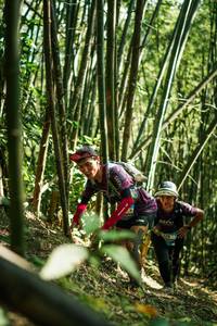 BIB: 
                            <button type="button" onclick="openModal(27924327)" class="btn btn-primary btn-sm float-right btn-popup" data-toggle="modal" data-target=".modal-high-quality">
                        <i class="fas fa-shopping-cart"></i> Add to Cart
                    </button>
                                            <button type="button" onclick="isThisMe(27924327, true)" class="btn btn-success btn-sm float-right btn-popup btn-isme hidden" data-toggle="tooltip" data-placement="bottom" title="นี่คือรูปของคุณใช่ไหม คลิกที่นี่เพื่อเอาเข้าอัลบั้ม">
                        <i class="fas fa-plus"></i> Add to album
                    </button>
                    <button type="button" onclick="isThisMe(27924327, false)" class="btn btn-warning btn-sm float-right btn-popup btn-isnotme hidden">
                        <i class="fas fa-ban"></i> Remove from album
                    </button>