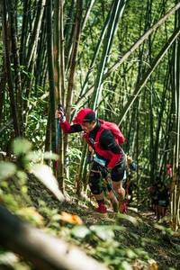 BIB: 
                            <button type="button" onclick="openModal(27925134)" class="btn btn-primary btn-sm float-right btn-popup" data-toggle="modal" data-target=".modal-high-quality">
                        <i class="fas fa-shopping-cart"></i> Add to Cart
                    </button>
                                            <button type="button" onclick="isThisMe(27925134, true)" class="btn btn-success btn-sm float-right btn-popup btn-isme hidden" data-toggle="tooltip" data-placement="bottom" title="นี่คือรูปของคุณใช่ไหม คลิกที่นี่เพื่อเอาเข้าอัลบั้ม">
                        <i class="fas fa-plus"></i> Add to album
                    </button>
                    <button type="button" onclick="isThisMe(27925134, false)" class="btn btn-warning btn-sm float-right btn-popup btn-isnotme hidden">
                        <i class="fas fa-ban"></i> Remove from album
                    </button>