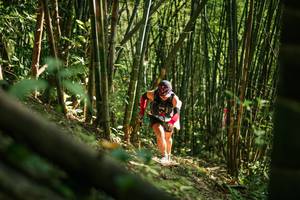 BIB: 
                            <button type="button" onclick="openModal(27923154)" class="btn btn-primary btn-sm float-right btn-popup" data-toggle="modal" data-target=".modal-high-quality">
                        <i class="fas fa-shopping-cart"></i> Add to Cart
                    </button>
                                            <button type="button" onclick="isThisMe(27923154, true)" class="btn btn-success btn-sm float-right btn-popup btn-isme hidden" data-toggle="tooltip" data-placement="bottom" title="นี่คือรูปของคุณใช่ไหม คลิกที่นี่เพื่อเอาเข้าอัลบั้ม">
                        <i class="fas fa-plus"></i> Add to album
                    </button>
                    <button type="button" onclick="isThisMe(27923154, false)" class="btn btn-warning btn-sm float-right btn-popup btn-isnotme hidden">
                        <i class="fas fa-ban"></i> Remove from album
                    </button>