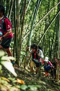 BIB: 
                            <button type="button" onclick="openModal(27924970)" class="btn btn-primary btn-sm float-right btn-popup" data-toggle="modal" data-target=".modal-high-quality">
                        <i class="fas fa-shopping-cart"></i> Add to Cart
                    </button>
                                            <button type="button" onclick="isThisMe(27924970, true)" class="btn btn-success btn-sm float-right btn-popup btn-isme hidden" data-toggle="tooltip" data-placement="bottom" title="นี่คือรูปของคุณใช่ไหม คลิกที่นี่เพื่อเอาเข้าอัลบั้ม">
                        <i class="fas fa-plus"></i> Add to album
                    </button>
                    <button type="button" onclick="isThisMe(27924970, false)" class="btn btn-warning btn-sm float-right btn-popup btn-isnotme hidden">
                        <i class="fas fa-ban"></i> Remove from album
                    </button>