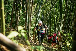 BIB: 
                            <button type="button" onclick="openModal(27925695)" class="btn btn-primary btn-sm float-right btn-popup" data-toggle="modal" data-target=".modal-high-quality">
                        <i class="fas fa-shopping-cart"></i> Add to Cart
                    </button>
                                            <button type="button" onclick="isThisMe(27925695, true)" class="btn btn-success btn-sm float-right btn-popup btn-isme hidden" data-toggle="tooltip" data-placement="bottom" title="นี่คือรูปของคุณใช่ไหม คลิกที่นี่เพื่อเอาเข้าอัลบั้ม">
                        <i class="fas fa-plus"></i> Add to album
                    </button>
                    <button type="button" onclick="isThisMe(27925695, false)" class="btn btn-warning btn-sm float-right btn-popup btn-isnotme hidden">
                        <i class="fas fa-ban"></i> Remove from album
                    </button>