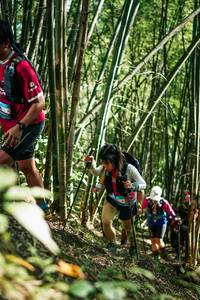 BIB: 
                            <button type="button" onclick="openModal(27924971)" class="btn btn-primary btn-sm float-right btn-popup" data-toggle="modal" data-target=".modal-high-quality">
                        <i class="fas fa-shopping-cart"></i> Add to Cart
                    </button>
                                            <button type="button" onclick="isThisMe(27924971, true)" class="btn btn-success btn-sm float-right btn-popup btn-isme hidden" data-toggle="tooltip" data-placement="bottom" title="นี่คือรูปของคุณใช่ไหม คลิกที่นี่เพื่อเอาเข้าอัลบั้ม">
                        <i class="fas fa-plus"></i> Add to album
                    </button>
                    <button type="button" onclick="isThisMe(27924971, false)" class="btn btn-warning btn-sm float-right btn-popup btn-isnotme hidden">
                        <i class="fas fa-ban"></i> Remove from album
                    </button>