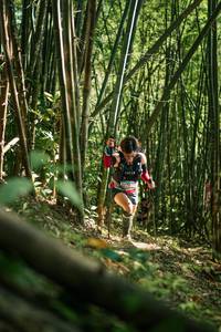 BIB: 
                            <button type="button" onclick="openModal(27923125)" class="btn btn-primary btn-sm float-right btn-popup" data-toggle="modal" data-target=".modal-high-quality">
                        <i class="fas fa-shopping-cart"></i> Add to Cart
                    </button>
                                            <button type="button" onclick="isThisMe(27923125, true)" class="btn btn-success btn-sm float-right btn-popup btn-isme hidden" data-toggle="tooltip" data-placement="bottom" title="นี่คือรูปของคุณใช่ไหม คลิกที่นี่เพื่อเอาเข้าอัลบั้ม">
                        <i class="fas fa-plus"></i> Add to album
                    </button>
                    <button type="button" onclick="isThisMe(27923125, false)" class="btn btn-warning btn-sm float-right btn-popup btn-isnotme hidden">
                        <i class="fas fa-ban"></i> Remove from album
                    </button>