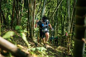 BIB: 
                            <button type="button" onclick="openModal(27925509)" class="btn btn-primary btn-sm float-right btn-popup" data-toggle="modal" data-target=".modal-high-quality">
                        <i class="fas fa-shopping-cart"></i> Add to Cart
                    </button>
                                            <button type="button" onclick="isThisMe(27925509, true)" class="btn btn-success btn-sm float-right btn-popup btn-isme hidden" data-toggle="tooltip" data-placement="bottom" title="นี่คือรูปของคุณใช่ไหม คลิกที่นี่เพื่อเอาเข้าอัลบั้ม">
                        <i class="fas fa-plus"></i> Add to album
                    </button>
                    <button type="button" onclick="isThisMe(27925509, false)" class="btn btn-warning btn-sm float-right btn-popup btn-isnotme hidden">
                        <i class="fas fa-ban"></i> Remove from album
                    </button>