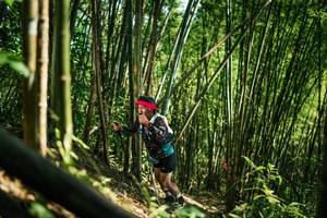 BIB: 
                            <button type="button" onclick="openModal(27926014)" class="btn btn-primary btn-sm float-right btn-popup" data-toggle="modal" data-target=".modal-high-quality">
                        <i class="fas fa-shopping-cart"></i> Add to Cart
                    </button>
                                            <button type="button" onclick="isThisMe(27926014, true)" class="btn btn-success btn-sm float-right btn-popup btn-isme hidden" data-toggle="tooltip" data-placement="bottom" title="นี่คือรูปของคุณใช่ไหม คลิกที่นี่เพื่อเอาเข้าอัลบั้ม">
                        <i class="fas fa-plus"></i> Add to album
                    </button>
                    <button type="button" onclick="isThisMe(27926014, false)" class="btn btn-warning btn-sm float-right btn-popup btn-isnotme hidden">
                        <i class="fas fa-ban"></i> Remove from album
                    </button>