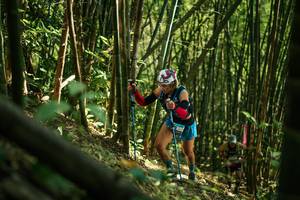 BIB: 
                            <button type="button" onclick="openModal(27922974)" class="btn btn-primary btn-sm float-right btn-popup" data-toggle="modal" data-target=".modal-high-quality">
                        <i class="fas fa-shopping-cart"></i> Add to Cart
                    </button>
                                            <button type="button" onclick="isThisMe(27922974, true)" class="btn btn-success btn-sm float-right btn-popup btn-isme hidden" data-toggle="tooltip" data-placement="bottom" title="นี่คือรูปของคุณใช่ไหม คลิกที่นี่เพื่อเอาเข้าอัลบั้ม">
                        <i class="fas fa-plus"></i> Add to album
                    </button>
                    <button type="button" onclick="isThisMe(27922974, false)" class="btn btn-warning btn-sm float-right btn-popup btn-isnotme hidden">
                        <i class="fas fa-ban"></i> Remove from album
                    </button>