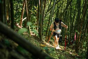 BIB: 
                            <button type="button" onclick="openModal(27922803)" class="btn btn-primary btn-sm float-right btn-popup" data-toggle="modal" data-target=".modal-high-quality">
                        <i class="fas fa-shopping-cart"></i> Add to Cart
                    </button>
                                            <button type="button" onclick="isThisMe(27922803, true)" class="btn btn-success btn-sm float-right btn-popup btn-isme hidden" data-toggle="tooltip" data-placement="bottom" title="นี่คือรูปของคุณใช่ไหม คลิกที่นี่เพื่อเอาเข้าอัลบั้ม">
                        <i class="fas fa-plus"></i> Add to album
                    </button>
                    <button type="button" onclick="isThisMe(27922803, false)" class="btn btn-warning btn-sm float-right btn-popup btn-isnotme hidden">
                        <i class="fas fa-ban"></i> Remove from album
                    </button>