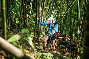 BIB: 
                            <button type="button" onclick="openModal(27925537)" class="btn btn-primary btn-sm float-right btn-popup" data-toggle="modal" data-target=".modal-high-quality">
                        <i class="fas fa-shopping-cart"></i> Add to Cart
                    </button>
                                            <button type="button" onclick="isThisMe(27925537, true)" class="btn btn-success btn-sm float-right btn-popup btn-isme hidden" data-toggle="tooltip" data-placement="bottom" title="นี่คือรูปของคุณใช่ไหม คลิกที่นี่เพื่อเอาเข้าอัลบั้ม">
                        <i class="fas fa-plus"></i> Add to album
                    </button>
                    <button type="button" onclick="isThisMe(27925537, false)" class="btn btn-warning btn-sm float-right btn-popup btn-isnotme hidden">
                        <i class="fas fa-ban"></i> Remove from album
                    </button>