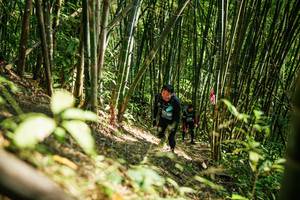 BIB: 
                            <button type="button" onclick="openModal(27925853)" class="btn btn-primary btn-sm float-right btn-popup" data-toggle="modal" data-target=".modal-high-quality">
                        <i class="fas fa-shopping-cart"></i> Add to Cart
                    </button>
                                            <button type="button" onclick="isThisMe(27925853, true)" class="btn btn-success btn-sm float-right btn-popup btn-isme hidden" data-toggle="tooltip" data-placement="bottom" title="นี่คือรูปของคุณใช่ไหม คลิกที่นี่เพื่อเอาเข้าอัลบั้ม">
                        <i class="fas fa-plus"></i> Add to album
                    </button>
                    <button type="button" onclick="isThisMe(27925853, false)" class="btn btn-warning btn-sm float-right btn-popup btn-isnotme hidden">
                        <i class="fas fa-ban"></i> Remove from album
                    </button>