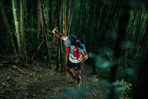 BIB: 
                            <button type="button" onclick="openModal(27926343)" class="btn btn-primary btn-sm float-right btn-popup" data-toggle="modal" data-target=".modal-high-quality">
                        <i class="fas fa-shopping-cart"></i> Add to Cart
                    </button>
                                            <button type="button" onclick="isThisMe(27926343, true)" class="btn btn-success btn-sm float-right btn-popup btn-isme hidden" data-toggle="tooltip" data-placement="bottom" title="นี่คือรูปของคุณใช่ไหม คลิกที่นี่เพื่อเอาเข้าอัลบั้ม">
                        <i class="fas fa-plus"></i> Add to album
                    </button>
                    <button type="button" onclick="isThisMe(27926343, false)" class="btn btn-warning btn-sm float-right btn-popup btn-isnotme hidden">
                        <i class="fas fa-ban"></i> Remove from album
                    </button>