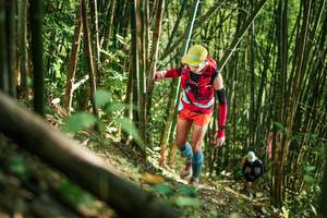 BIB: 
                            <button type="button" onclick="openModal(27923590)" class="btn btn-primary btn-sm float-right btn-popup" data-toggle="modal" data-target=".modal-high-quality">
                        <i class="fas fa-shopping-cart"></i> Add to Cart
                    </button>
                                            <button type="button" onclick="isThisMe(27923590, true)" class="btn btn-success btn-sm float-right btn-popup btn-isme hidden" data-toggle="tooltip" data-placement="bottom" title="นี่คือรูปของคุณใช่ไหม คลิกที่นี่เพื่อเอาเข้าอัลบั้ม">
                        <i class="fas fa-plus"></i> Add to album
                    </button>
                    <button type="button" onclick="isThisMe(27923590, false)" class="btn btn-warning btn-sm float-right btn-popup btn-isnotme hidden">
                        <i class="fas fa-ban"></i> Remove from album
                    </button>