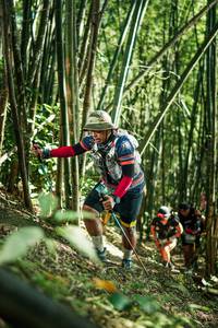 BIB: 
                            <button type="button" onclick="openModal(27924180)" class="btn btn-primary btn-sm float-right btn-popup" data-toggle="modal" data-target=".modal-high-quality">
                        <i class="fas fa-shopping-cart"></i> Add to Cart
                    </button>
                                            <button type="button" onclick="isThisMe(27924180, true)" class="btn btn-success btn-sm float-right btn-popup btn-isme hidden" data-toggle="tooltip" data-placement="bottom" title="นี่คือรูปของคุณใช่ไหม คลิกที่นี่เพื่อเอาเข้าอัลบั้ม">
                        <i class="fas fa-plus"></i> Add to album
                    </button>
                    <button type="button" onclick="isThisMe(27924180, false)" class="btn btn-warning btn-sm float-right btn-popup btn-isnotme hidden">
                        <i class="fas fa-ban"></i> Remove from album
                    </button>