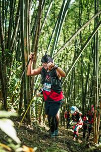 BIB: 
                            <button type="button" onclick="openModal(27924877)" class="btn btn-primary btn-sm float-right btn-popup" data-toggle="modal" data-target=".modal-high-quality">
                        <i class="fas fa-shopping-cart"></i> Add to Cart
                    </button>
                                            <button type="button" onclick="isThisMe(27924877, true)" class="btn btn-success btn-sm float-right btn-popup btn-isme hidden" data-toggle="tooltip" data-placement="bottom" title="นี่คือรูปของคุณใช่ไหม คลิกที่นี่เพื่อเอาเข้าอัลบั้ม">
                        <i class="fas fa-plus"></i> Add to album
                    </button>
                    <button type="button" onclick="isThisMe(27924877, false)" class="btn btn-warning btn-sm float-right btn-popup btn-isnotme hidden">
                        <i class="fas fa-ban"></i> Remove from album
                    </button>