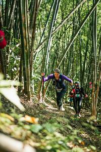 BIB: 
                            <button type="button" onclick="openModal(27924914)" class="btn btn-primary btn-sm float-right btn-popup" data-toggle="modal" data-target=".modal-high-quality">
                        <i class="fas fa-shopping-cart"></i> Add to Cart
                    </button>
                                            <button type="button" onclick="isThisMe(27924914, true)" class="btn btn-success btn-sm float-right btn-popup btn-isme hidden" data-toggle="tooltip" data-placement="bottom" title="นี่คือรูปของคุณใช่ไหม คลิกที่นี่เพื่อเอาเข้าอัลบั้ม">
                        <i class="fas fa-plus"></i> Add to album
                    </button>
                    <button type="button" onclick="isThisMe(27924914, false)" class="btn btn-warning btn-sm float-right btn-popup btn-isnotme hidden">
                        <i class="fas fa-ban"></i> Remove from album
                    </button>