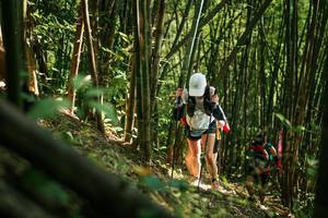 BIB: 
                            <button type="button" onclick="openModal(27922931)" class="btn btn-primary btn-sm float-right btn-popup" data-toggle="modal" data-target=".modal-high-quality">
                        <i class="fas fa-shopping-cart"></i> Add to Cart
                    </button>
                                            <button type="button" onclick="isThisMe(27922931, true)" class="btn btn-success btn-sm float-right btn-popup btn-isme hidden" data-toggle="tooltip" data-placement="bottom" title="นี่คือรูปของคุณใช่ไหม คลิกที่นี่เพื่อเอาเข้าอัลบั้ม">
                        <i class="fas fa-plus"></i> Add to album
                    </button>
                    <button type="button" onclick="isThisMe(27922931, false)" class="btn btn-warning btn-sm float-right btn-popup btn-isnotme hidden">
                        <i class="fas fa-ban"></i> Remove from album
                    </button>