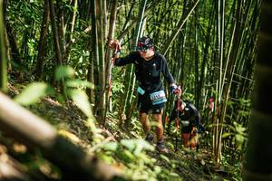 BIB: 
                            <button type="button" onclick="openModal(27925413)" class="btn btn-primary btn-sm float-right btn-popup" data-toggle="modal" data-target=".modal-high-quality">
                        <i class="fas fa-shopping-cart"></i> Add to Cart
                    </button>
                                            <button type="button" onclick="isThisMe(27925413, true)" class="btn btn-success btn-sm float-right btn-popup btn-isme hidden" data-toggle="tooltip" data-placement="bottom" title="นี่คือรูปของคุณใช่ไหม คลิกที่นี่เพื่อเอาเข้าอัลบั้ม">
                        <i class="fas fa-plus"></i> Add to album
                    </button>
                    <button type="button" onclick="isThisMe(27925413, false)" class="btn btn-warning btn-sm float-right btn-popup btn-isnotme hidden">
                        <i class="fas fa-ban"></i> Remove from album
                    </button>