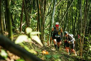 BIB: 
                            <button type="button" onclick="openModal(27924704)" class="btn btn-primary btn-sm float-right btn-popup" data-toggle="modal" data-target=".modal-high-quality">
                        <i class="fas fa-shopping-cart"></i> Add to Cart
                    </button>
                                            <button type="button" onclick="isThisMe(27924704, true)" class="btn btn-success btn-sm float-right btn-popup btn-isme hidden" data-toggle="tooltip" data-placement="bottom" title="นี่คือรูปของคุณใช่ไหม คลิกที่นี่เพื่อเอาเข้าอัลบั้ม">
                        <i class="fas fa-plus"></i> Add to album
                    </button>
                    <button type="button" onclick="isThisMe(27924704, false)" class="btn btn-warning btn-sm float-right btn-popup btn-isnotme hidden">
                        <i class="fas fa-ban"></i> Remove from album
                    </button>