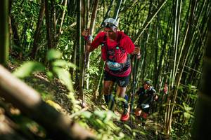 BIB: 
                            <button type="button" onclick="openModal(27925377)" class="btn btn-primary btn-sm float-right btn-popup" data-toggle="modal" data-target=".modal-high-quality">
                        <i class="fas fa-shopping-cart"></i> Add to Cart
                    </button>
                                            <button type="button" onclick="isThisMe(27925377, true)" class="btn btn-success btn-sm float-right btn-popup btn-isme hidden" data-toggle="tooltip" data-placement="bottom" title="นี่คือรูปของคุณใช่ไหม คลิกที่นี่เพื่อเอาเข้าอัลบั้ม">
                        <i class="fas fa-plus"></i> Add to album
                    </button>
                    <button type="button" onclick="isThisMe(27925377, false)" class="btn btn-warning btn-sm float-right btn-popup btn-isnotme hidden">
                        <i class="fas fa-ban"></i> Remove from album
                    </button>