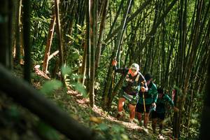 BIB: 
                            <button type="button" onclick="openModal(27922651)" class="btn btn-primary btn-sm float-right btn-popup" data-toggle="modal" data-target=".modal-high-quality">
                        <i class="fas fa-shopping-cart"></i> Add to Cart
                    </button>
                                            <button type="button" onclick="isThisMe(27922651, true)" class="btn btn-success btn-sm float-right btn-popup btn-isme hidden" data-toggle="tooltip" data-placement="bottom" title="นี่คือรูปของคุณใช่ไหม คลิกที่นี่เพื่อเอาเข้าอัลบั้ม">
                        <i class="fas fa-plus"></i> Add to album
                    </button>
                    <button type="button" onclick="isThisMe(27922651, false)" class="btn btn-warning btn-sm float-right btn-popup btn-isnotme hidden">
                        <i class="fas fa-ban"></i> Remove from album
                    </button>