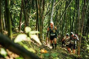 BIB: 
                            <button type="button" onclick="openModal(27924703)" class="btn btn-primary btn-sm float-right btn-popup" data-toggle="modal" data-target=".modal-high-quality">
                        <i class="fas fa-shopping-cart"></i> Add to Cart
                    </button>
                                            <button type="button" onclick="isThisMe(27924703, true)" class="btn btn-success btn-sm float-right btn-popup btn-isme hidden" data-toggle="tooltip" data-placement="bottom" title="นี่คือรูปของคุณใช่ไหม คลิกที่นี่เพื่อเอาเข้าอัลบั้ม">
                        <i class="fas fa-plus"></i> Add to album
                    </button>
                    <button type="button" onclick="isThisMe(27924703, false)" class="btn btn-warning btn-sm float-right btn-popup btn-isnotme hidden">
                        <i class="fas fa-ban"></i> Remove from album
                    </button>