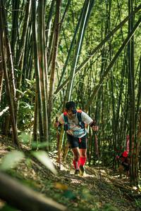 BIB: 
                            <button type="button" onclick="openModal(27923439)" class="btn btn-primary btn-sm float-right btn-popup" data-toggle="modal" data-target=".modal-high-quality">
                        <i class="fas fa-shopping-cart"></i> Add to Cart
                    </button>
                                            <button type="button" onclick="isThisMe(27923439, true)" class="btn btn-success btn-sm float-right btn-popup btn-isme hidden" data-toggle="tooltip" data-placement="bottom" title="นี่คือรูปของคุณใช่ไหม คลิกที่นี่เพื่อเอาเข้าอัลบั้ม">
                        <i class="fas fa-plus"></i> Add to album
                    </button>
                    <button type="button" onclick="isThisMe(27923439, false)" class="btn btn-warning btn-sm float-right btn-popup btn-isnotme hidden">
                        <i class="fas fa-ban"></i> Remove from album
                    </button>