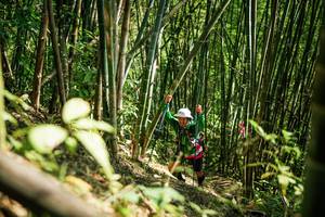 BIB: 
                            <button type="button" onclick="openModal(27925944)" class="btn btn-primary btn-sm float-right btn-popup" data-toggle="modal" data-target=".modal-high-quality">
                        <i class="fas fa-shopping-cart"></i> Add to Cart
                    </button>
                                            <button type="button" onclick="isThisMe(27925944, true)" class="btn btn-success btn-sm float-right btn-popup btn-isme hidden" data-toggle="tooltip" data-placement="bottom" title="นี่คือรูปของคุณใช่ไหม คลิกที่นี่เพื่อเอาเข้าอัลบั้ม">
                        <i class="fas fa-plus"></i> Add to album
                    </button>
                    <button type="button" onclick="isThisMe(27925944, false)" class="btn btn-warning btn-sm float-right btn-popup btn-isnotme hidden">
                        <i class="fas fa-ban"></i> Remove from album
                    </button>