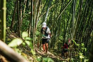 BIB: 
                            <button type="button" onclick="openModal(27925664)" class="btn btn-primary btn-sm float-right btn-popup" data-toggle="modal" data-target=".modal-high-quality">
                        <i class="fas fa-shopping-cart"></i> Add to Cart
                    </button>
                                            <button type="button" onclick="isThisMe(27925664, true)" class="btn btn-success btn-sm float-right btn-popup btn-isme hidden" data-toggle="tooltip" data-placement="bottom" title="นี่คือรูปของคุณใช่ไหม คลิกที่นี่เพื่อเอาเข้าอัลบั้ม">
                        <i class="fas fa-plus"></i> Add to album
                    </button>
                    <button type="button" onclick="isThisMe(27925664, false)" class="btn btn-warning btn-sm float-right btn-popup btn-isnotme hidden">
                        <i class="fas fa-ban"></i> Remove from album
                    </button>