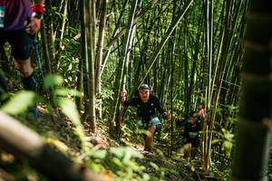 BIB: 
                            <button type="button" onclick="openModal(27925399)" class="btn btn-primary btn-sm float-right btn-popup" data-toggle="modal" data-target=".modal-high-quality">
                        <i class="fas fa-shopping-cart"></i> Add to Cart
                    </button>
                                            <button type="button" onclick="isThisMe(27925399, true)" class="btn btn-success btn-sm float-right btn-popup btn-isme hidden" data-toggle="tooltip" data-placement="bottom" title="นี่คือรูปของคุณใช่ไหม คลิกที่นี่เพื่อเอาเข้าอัลบั้ม">
                        <i class="fas fa-plus"></i> Add to album
                    </button>
                    <button type="button" onclick="isThisMe(27925399, false)" class="btn btn-warning btn-sm float-right btn-popup btn-isnotme hidden">
                        <i class="fas fa-ban"></i> Remove from album
                    </button>