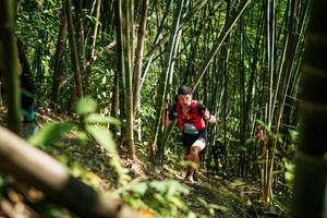 BIB: 
                            <button type="button" onclick="openModal(27925342)" class="btn btn-primary btn-sm float-right btn-popup" data-toggle="modal" data-target=".modal-high-quality">
                        <i class="fas fa-shopping-cart"></i> Add to Cart
                    </button>
                                            <button type="button" onclick="isThisMe(27925342, true)" class="btn btn-success btn-sm float-right btn-popup btn-isme hidden" data-toggle="tooltip" data-placement="bottom" title="นี่คือรูปของคุณใช่ไหม คลิกที่นี่เพื่อเอาเข้าอัลบั้ม">
                        <i class="fas fa-plus"></i> Add to album
                    </button>
                    <button type="button" onclick="isThisMe(27925342, false)" class="btn btn-warning btn-sm float-right btn-popup btn-isnotme hidden">
                        <i class="fas fa-ban"></i> Remove from album
                    </button>