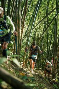 BIB: 
                            <button type="button" onclick="openModal(27923469)" class="btn btn-primary btn-sm float-right btn-popup" data-toggle="modal" data-target=".modal-high-quality">
                        <i class="fas fa-shopping-cart"></i> Add to Cart
                    </button>
                                            <button type="button" onclick="isThisMe(27923469, true)" class="btn btn-success btn-sm float-right btn-popup btn-isme hidden" data-toggle="tooltip" data-placement="bottom" title="นี่คือรูปของคุณใช่ไหม คลิกที่นี่เพื่อเอาเข้าอัลบั้ม">
                        <i class="fas fa-plus"></i> Add to album
                    </button>
                    <button type="button" onclick="isThisMe(27923469, false)" class="btn btn-warning btn-sm float-right btn-popup btn-isnotme hidden">
                        <i class="fas fa-ban"></i> Remove from album
                    </button>