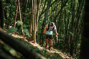 BIB: 
                            <button type="button" onclick="openModal(27922058)" class="btn btn-primary btn-sm float-right btn-popup" data-toggle="modal" data-target=".modal-high-quality">
                        <i class="fas fa-shopping-cart"></i> Add to Cart
                    </button>
                                            <button type="button" onclick="isThisMe(27922058, true)" class="btn btn-success btn-sm float-right btn-popup btn-isme hidden" data-toggle="tooltip" data-placement="bottom" title="นี่คือรูปของคุณใช่ไหม คลิกที่นี่เพื่อเอาเข้าอัลบั้ม">
                        <i class="fas fa-plus"></i> Add to album
                    </button>
                    <button type="button" onclick="isThisMe(27922058, false)" class="btn btn-warning btn-sm float-right btn-popup btn-isnotme hidden">
                        <i class="fas fa-ban"></i> Remove from album
                    </button>