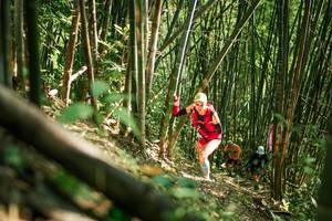 BIB: 
                            <button type="button" onclick="openModal(27923576)" class="btn btn-primary btn-sm float-right btn-popup" data-toggle="modal" data-target=".modal-high-quality">
                        <i class="fas fa-shopping-cart"></i> Add to Cart
                    </button>
                                            <button type="button" onclick="isThisMe(27923576, true)" class="btn btn-success btn-sm float-right btn-popup btn-isme hidden" data-toggle="tooltip" data-placement="bottom" title="นี่คือรูปของคุณใช่ไหม คลิกที่นี่เพื่อเอาเข้าอัลบั้ม">
                        <i class="fas fa-plus"></i> Add to album
                    </button>
                    <button type="button" onclick="isThisMe(27923576, false)" class="btn btn-warning btn-sm float-right btn-popup btn-isnotme hidden">
                        <i class="fas fa-ban"></i> Remove from album
                    </button>