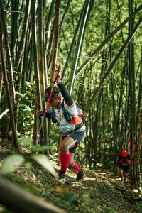 BIB: 
                            <button type="button" onclick="openModal(27923445)" class="btn btn-primary btn-sm float-right btn-popup" data-toggle="modal" data-target=".modal-high-quality">
                        <i class="fas fa-shopping-cart"></i> Add to Cart
                    </button>
                                            <button type="button" onclick="isThisMe(27923445, true)" class="btn btn-success btn-sm float-right btn-popup btn-isme hidden" data-toggle="tooltip" data-placement="bottom" title="นี่คือรูปของคุณใช่ไหม คลิกที่นี่เพื่อเอาเข้าอัลบั้ม">
                        <i class="fas fa-plus"></i> Add to album
                    </button>
                    <button type="button" onclick="isThisMe(27923445, false)" class="btn btn-warning btn-sm float-right btn-popup btn-isnotme hidden">
                        <i class="fas fa-ban"></i> Remove from album
                    </button>