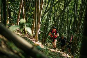 BIB: 
                            <button type="button" onclick="openModal(27922270)" class="btn btn-primary btn-sm float-right btn-popup" data-toggle="modal" data-target=".modal-high-quality">
                        <i class="fas fa-shopping-cart"></i> Add to Cart
                    </button>
                                            <button type="button" onclick="isThisMe(27922270, true)" class="btn btn-success btn-sm float-right btn-popup btn-isme hidden" data-toggle="tooltip" data-placement="bottom" title="นี่คือรูปของคุณใช่ไหม คลิกที่นี่เพื่อเอาเข้าอัลบั้ม">
                        <i class="fas fa-plus"></i> Add to album
                    </button>
                    <button type="button" onclick="isThisMe(27922270, false)" class="btn btn-warning btn-sm float-right btn-popup btn-isnotme hidden">
                        <i class="fas fa-ban"></i> Remove from album
                    </button>